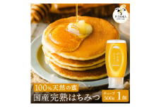 【2025年採蜜予約受付 2025年8月から順次発送】 完熟はちみつ　500g（藤岡養蜂園） 　014FY01N. ／ 完熟 熟成 天然 ハチミツ 養蜂 蜂蜜 ミツバチ しりばり 瓶 チューブ 選べる