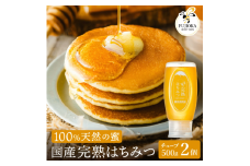 【2025年採蜜予約受付 2025年8月から順次発送】 完熟はちみつ　1,000g（500g×2）藤岡養蜂園　027FY01N. ／ 完熟 熟成 天然 ハチミツ 養蜂 蜂蜜 ミツバチ しりばり 瓶 チューブ 選べる