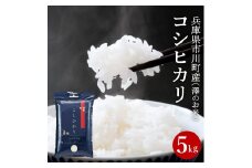 新米 令和７年産 市川町産 コシヒカリ（NICOMARU農場）精米5kg 　013NM01N./ コシヒカリ 精米 お米 ご飯 ごはん 市川町