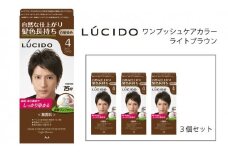 マンダム ルシード ワンプッシュケアカラー ライトブラウン 3個セット MA-13 LUCIDO 毛染め 白髪 カラーリング 男性化粧品