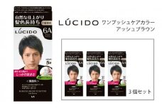 マンダム ルシード ワンプッシュケアカラー アッシュブラウン 3個セット MA-15 LUCIDO 毛染め 白髪 カラーリング 男性化粧品