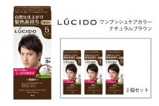 マンダム ルシード ワンプッシュケアカラー ナチュラルブラウン 3個セット MA-14 LUCIDO 毛染め 白髪 カラーリング 男性化粧品