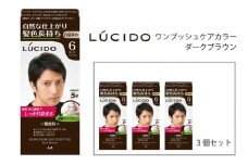 マンダム ルシード ワンプッシュケアカラー ダークブラウン 3個セット MA-16 LUCIDO 毛染め 白髪 カラーリング 男性化粧品