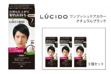 マンダム ルシード ワンプッシュケアカラー ナチュラルブラック 3個セット MA-17 LUCIDO 毛染め 白髪 カラーリング 男性化粧品