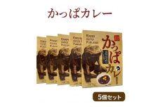 かっぱカレー（5個セット）