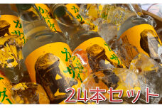 かっぱサイダー（24本セット）