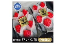 ひいな苺 贈答用 化粧箱入り いちご イチゴ
