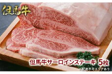 但馬牛 サーロイン ステーキ 200g×5枚 計1kg 牛肉 国産牛 和牛 BBQ バーベキュー アウトドア お祝い