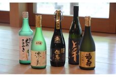 兵庫五国！至高の味わい大吟醸セット 日本酒 純米 飲み比べ 酒造 酒蔵  山田錦 お酒