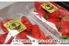 いちご詰め合わせ（2パック計500g以上）贈答用 化粧箱入り イチゴ 苺
