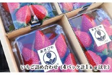 いちご詰め合わせ（4パック計1kg以上）贈答用 化粧箱入り  イチゴ 苺