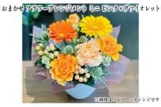 おまかせ フラワーアレンジメント ミニ（ピンク×ヴァイオレット） 母の日 父の日 ギフト お祝い