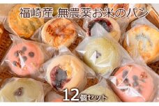 オーガニック お米のお任せパンセット 栽培期間中農薬不使用・グルテンフリー・生米パン 12個