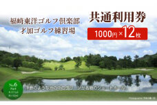 福崎東洋ゴルフ倶楽部・才加ゴルフ練習場 共通利用券 1000円×12枚