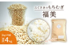 ふくさきのもちむぎ「福美」精麦1kg×4袋 4kg eco Package エコパッケージ