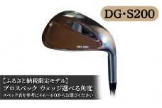 ふるさと納税限定モデル プロスペック DG・S200 ウェッジ　50度
