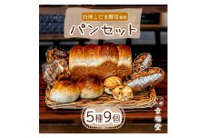 天然酵母のパンセット 5種9個 国産小麦粉 米粉 天然酵母 食パン 菓子パン