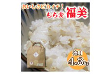 美味しさピカイチ!成分ピカイチ!もち麦は『福美』に決まり!!徳用4.3kg