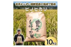 ＜新米予約＞令和7年度産 ヒノヒカリ 精米 八千種米 お米10kg 白米 ごはん 兵庫県産 世界かんがい施設遺産登録『西光寺野疏水路』 お米 【2025年10月中旬より順次発送予定】