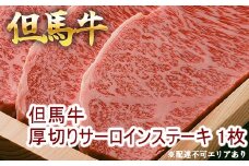 但馬牛 厚切り サーロイン ステーキ 300g×1枚 計300g [ 牛肉 お肉 ブランド牛 キャンプ BBQ アウトドア バーベキュー ギフト 母の日 父の日 ]　牛肉・サーロイン・但馬牛サーロインステーキ・但馬牛・ステーキ
