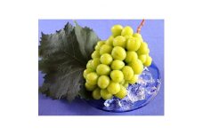 ＜神河町産＞シャインマスカット (2キロ特級品)【1083362】