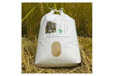 ＜令和4年産＞夫婦杉の里米(コシヒカリ)玄米10kg【1024996】