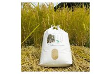 ＜令和4年産＞夫婦杉の里米(コシヒカリ)玄米5kg【1029256】