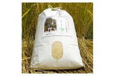 ＜令和4年産＞夫婦杉の里米(コシヒカリ)白米8kg【1029257】