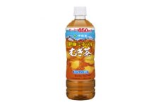 ＜兵庫県神河町＞健康ミネラルむぎ茶650ml　24本(1ケース)　伊藤園【1229076】