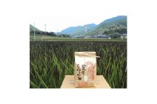 ＜令和4年産＞みどりもち精米2kg【1268157】