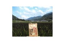 ＜令和4年産＞みどりもち精米5kg【1268174】