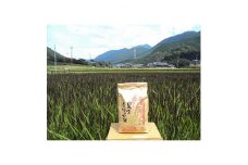 ＜令和4年産＞みどりもち玄米5kg【1268171】