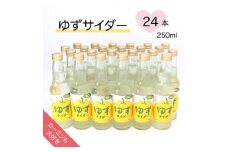 ＜カーミンも大好き＞ゆずサイダー 250ml×24本【1329933】