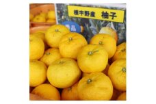 ＜神河町特産＞根宇野(みよの)の柚子(ゆず) 約2kg　※2024年11月上旬頃から発送【1332889】