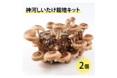 神河しいたけ栽培キット(しいたけ菌床)2個　※10月～4月発送【1355221】