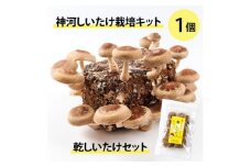 神河しいたけ栽培キット(しいたけ菌床)1個と乾しいたけセット　※10月～4月発送【1355227】