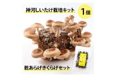 神河しいたけ栽培キット(しいたけ菌床)1個と乾あらげきくらげセット　※10月～4月発送【1355228】