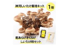 神河しいたけ栽培キット(しいたけ菌床)1個と乾あらげきくらげ・しいたけ粉セット　※10月～4月発送【1355231】