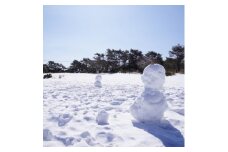 <峰山高原リゾートホワイトピーク>　スキー場1日リフト券　4枚【1029969】