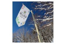 〈峰山高原リゾートホワイトピーク〉スキー場1日リフト券　5枚【1363858】