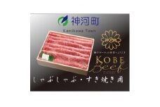 神戸ビーフ　しゃぶしゃぶ・すき焼き用(かた・もも)500g　KKWS2【1363771】