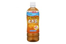 2023年9月発送開始『定期便』健康ミネラル麦茶650ml　48本(2ケース)全3回【5129016】