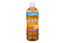 2023年10月発送開始『定期便』健康ミネラル麦茶650ml　48本(2ケース)全3回【5129017】