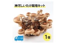 神河しいたけ栽培キット(しいたけ菌床)1個　※5月～10月順次発送【1411533】
