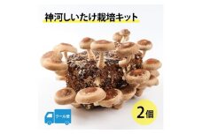 神河しいたけ栽培キット(しいたけ菌床)2個　※5月～10月順次発送【1411535】