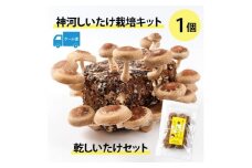 神河しいたけ栽培キット(しいたけ菌床)1個と乾しいたけセット　※5月～10月順次発送【1411537】