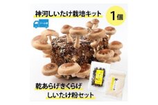 神河しいたけ栽培キット(しいたけ菌床)1個と乾あらげきくらげ・しいたけ粉セット※5月～10月順次発送【1411540】