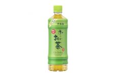 2023年12月発送開始『定期便』お～いお茶緑茶600ml　48本(2ケース)全3回【5129091】