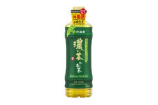 2024年1月発送開始『定期便』お～いお茶濃い茶600ml　48本(2ケース)全3回【5128972】