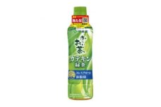 ＜兵庫県神河町＞＜特定保健用食品＞PETお～いお茶カテキン緑茶500ml48本(2ケース)　伊藤園【1462693】
